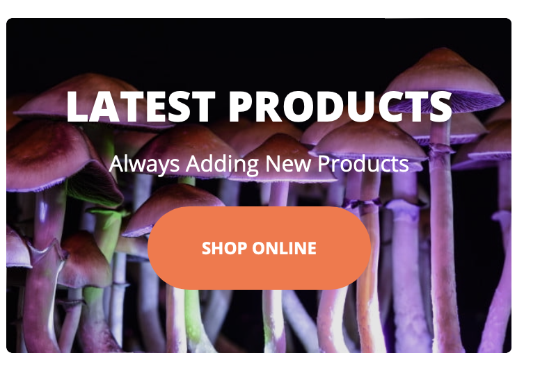 BUY MAGIC MUSHROOMS ONLINE ANN ARBOR (100 LEGAL)