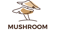 Arbor shrooms dispensary