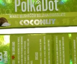POLKA DOT CHOCOLATE COCONUT